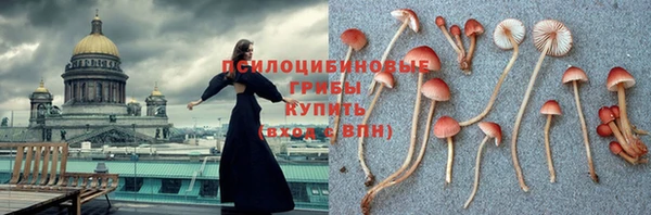 первитин Арсеньев