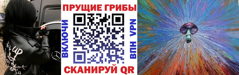 наркота Малоархангельск Псилоцибиновые грибы ЛСД